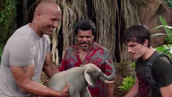 大象的搞笑电影,憨态可掬的巨兽闹翻天