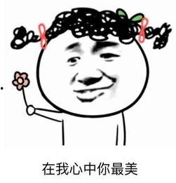 你太天真表情包,太天真！揭秘表情包背后的幽默与智慧