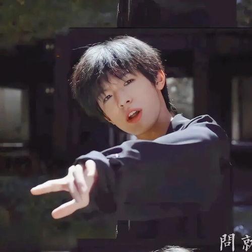 张泽禹小童星个人资料