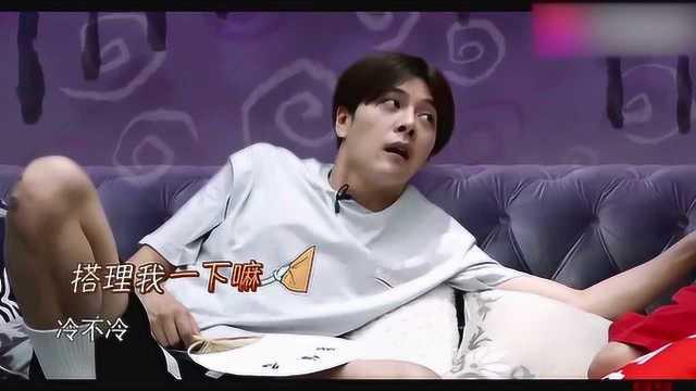 明星体验生活的节目,深度体验生活百态