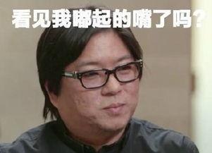 叶集高晓松表情包,笑谈人生百态