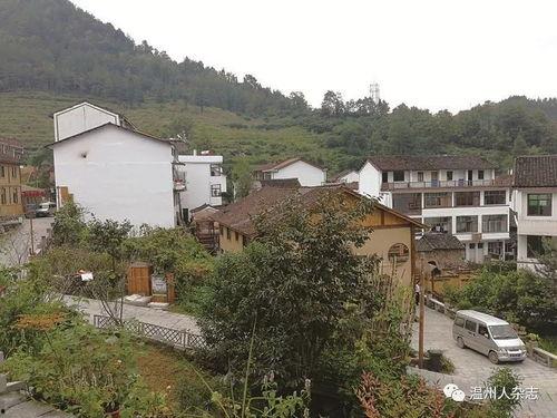 川村资料,揭秘日本乡村生活与文化传承