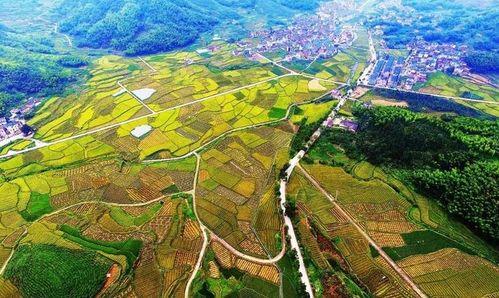 川村资料,揭秘日本乡村生活与文化传承