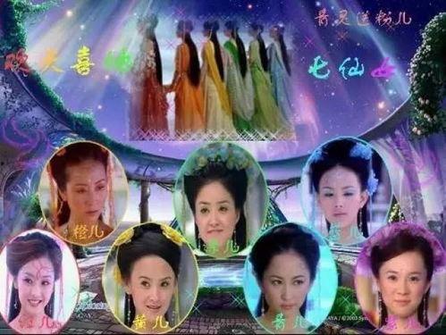新七仙女所有演员表,众星云集，演绎经典神话新篇章