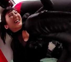 高海宁紫荆侠花絮